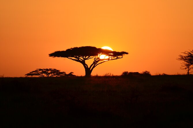 6 days Tanzania budget safari - Day five: Black rhinos inside Ngorongoro Crater