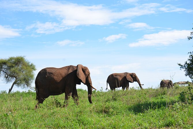 6 days Tanzania budget safari - Camping, food, and the daily routine