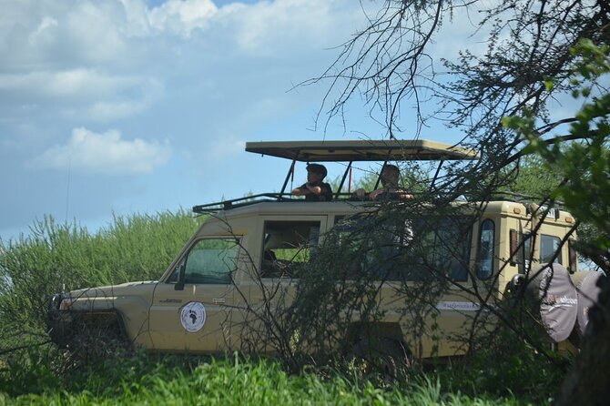 6 days Tanzania budget safari - Day one: Tarangire’s elephants and open country