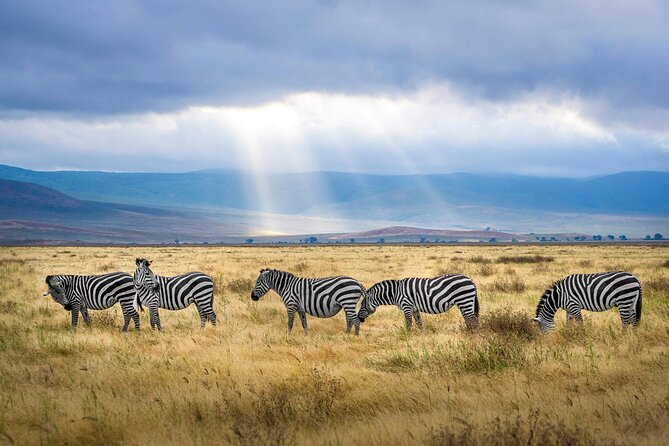 6 Days Tanzania Bush Experience Safari - What this six-day route really includes