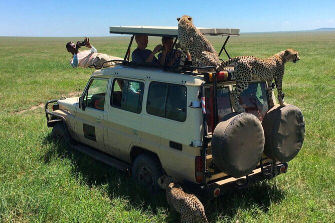 6 Days Tanzania Bush Experience Safari - Day 3: Entering the Serengeti through Klein’s Gate