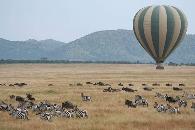 6 Days Tanzania Classic Safari - Why this six-day route works