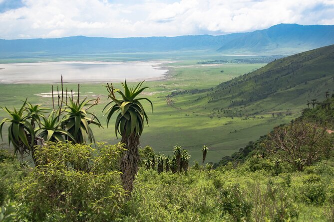 6 Days Tanzania Classic Safari - Lodging, meals, and what the $4,297 buys
