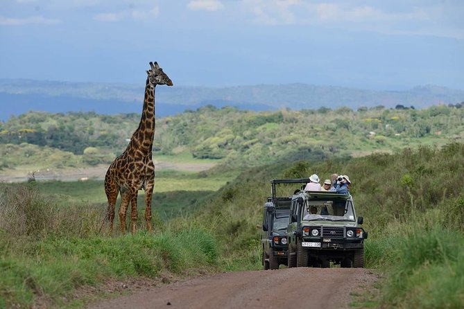 6 Days Tanzania Luxury Safari Tour - Day one: Lake Manyara’s compact wildlife country