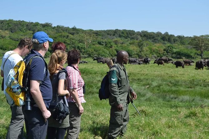 6 Days Tanzania Luxury Safari Tour - Days two and three: Two full days in the Serengeti