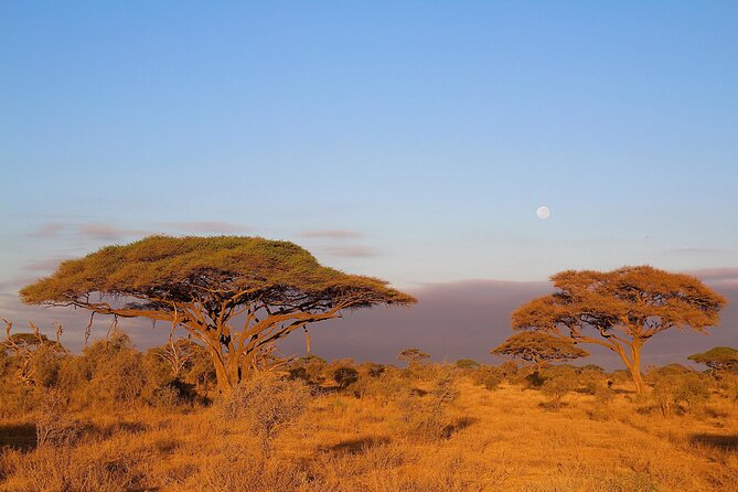 6 Days Tanzania Northern Circuit Safari - What this six-day safari is really offering