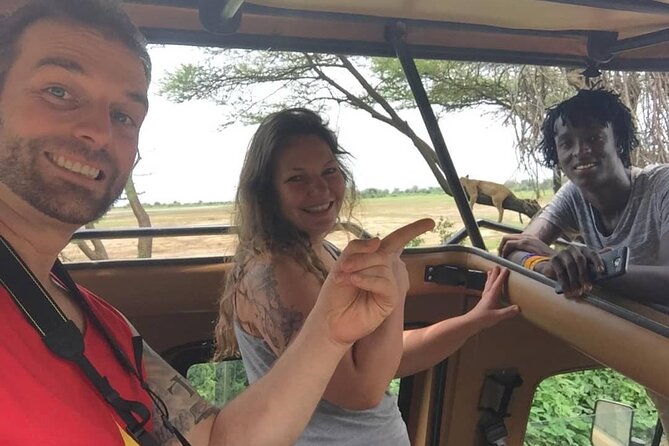 6 Days Tanzania Wildlife Camping Safari - Day 5: Ngorongoro Crater’s concentrated wildlife