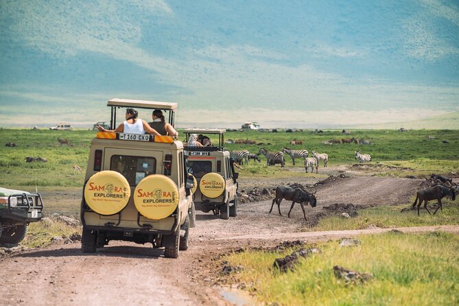 6-DayThe Best of Northern Tanzania Safari - What $2,440 buys you in northern Tanzania