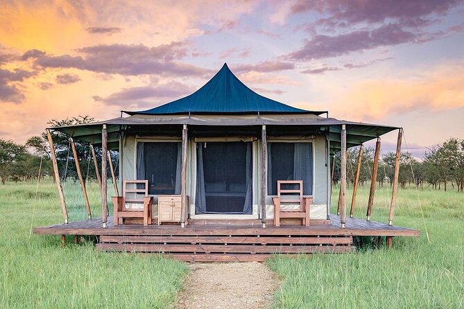 6-DayThe Best of Northern Tanzania Safari - Day 5: The Ngorongoro Crater’s compact wildlife world