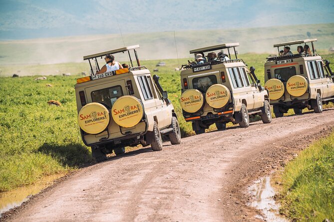 6-DayThe Best of Northern Tanzania Safari - Day 2: Tarangire’s elephants and giant baobabs