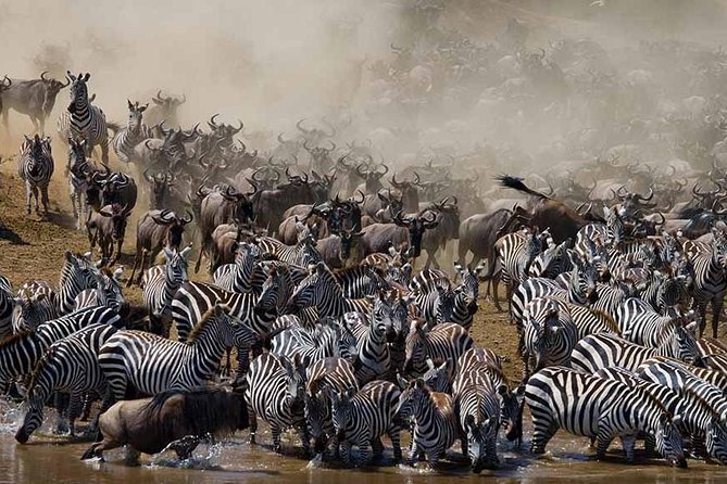 7 Day 6 nights Great Migration Classic Tanzania Safari - Key points at a glance