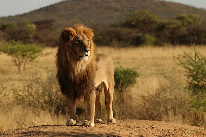 7 Day Grand Tanzania Safari - Day 1: Elephants and baobabs in Tarangire