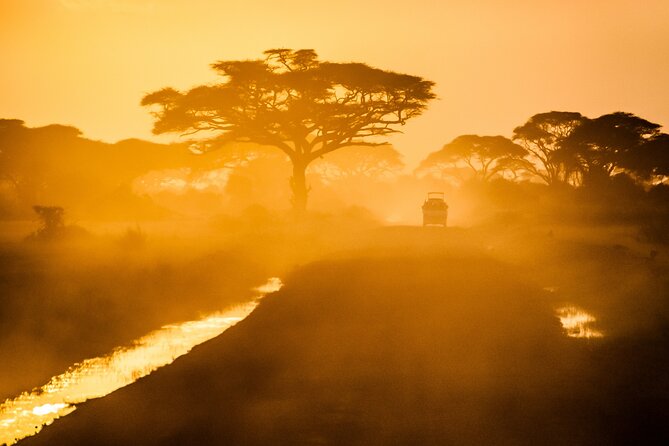 7 Day Grand Tanzania Safari - Day 6: The Ngorongoro Crater wildlife circuit