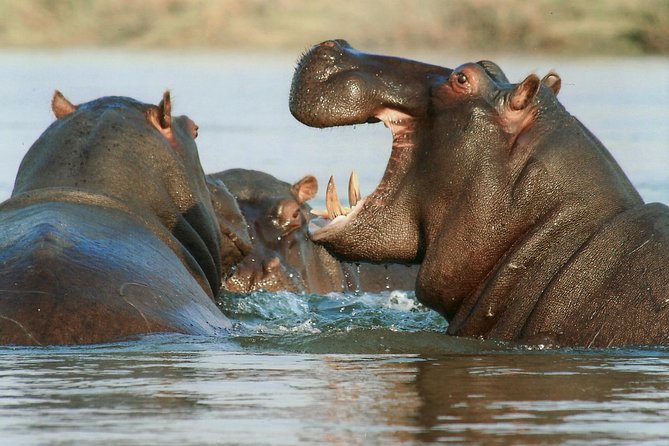 7 Day Grand Tanzania Safari - Day 2: Lake Manyara beneath the Rift Valley escarpment