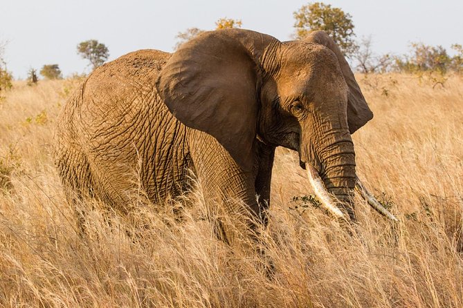 7-Day Great Migration Safari - Accommodation, meals, and comfort