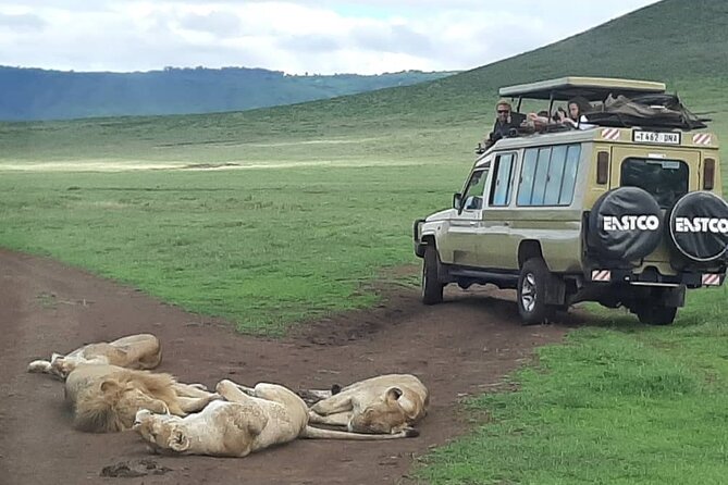 7-Day Great Migration Safari - Lake Manyara and the Rift Valley escarpment