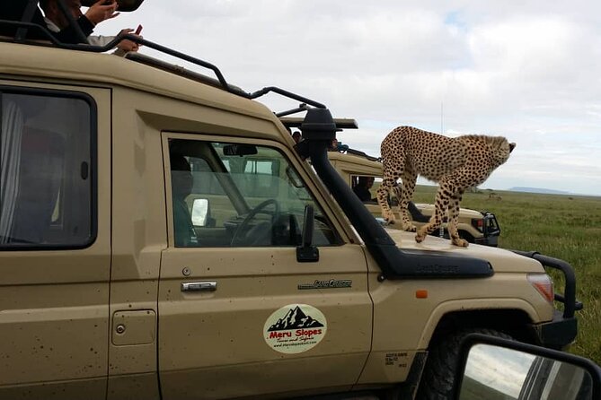 7-Day Group Camping Tarangire/Serengeti/Ngorongoro/lake Manyara - Day 2: The long road into the Serengeti