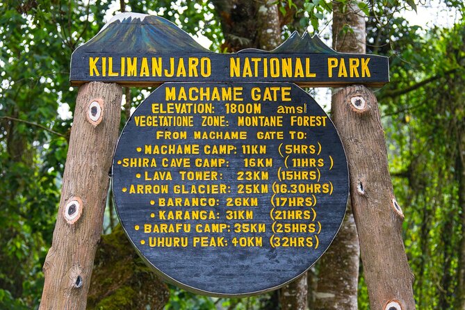 7-Day Guided Mount Kilimanjaro Climb by Machame Route - Day 1: Moshi to Machame Camp through rainforest