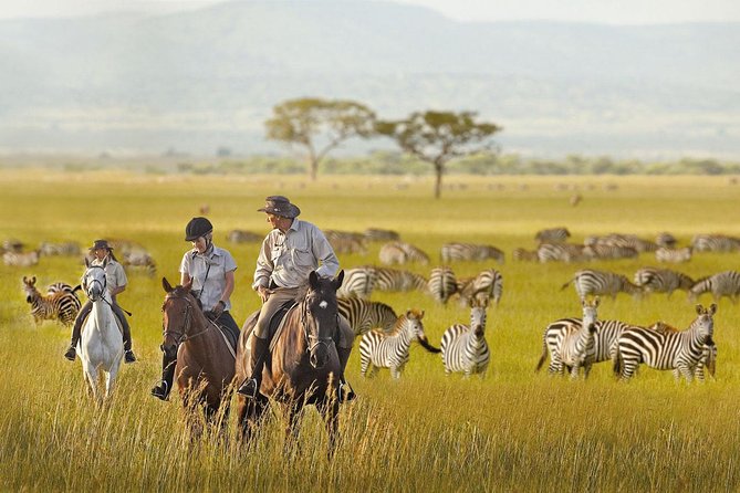 7 Day Joined Safari Serengeti,Ngorongoro,Manyara,Tarangire,Arusha National Park - Day 3: Crossing into the Serengeti