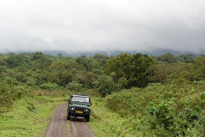 7 Day Joined Safari Serengeti,Ngorongoro,Manyara,Tarangire,Arusha National Park - Day 5: Six hours inside Ngorongoro Crater