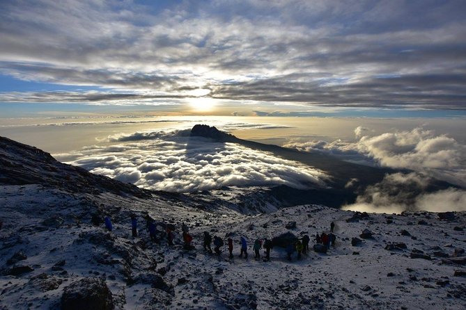 7-Day Kilimanjaro Climb–Lemosho R. Scenic Adventure to the summit - Key points to know before you book