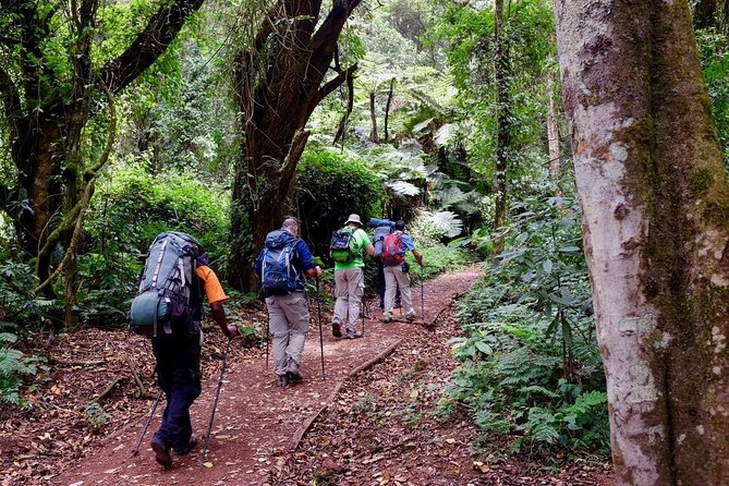 7-Day Kilimanjaro Climb–Lemosho R. Scenic Adventure to the summit - Day 1: Londorossi Gate to the montane forest