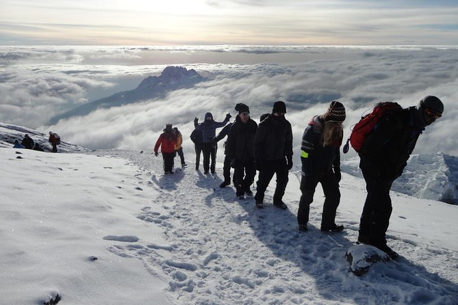 7-Day Kilimanjaro Climb–Lemosho R. Scenic Adventure to the summit - Day 4: The Barranco Wall and Karanga Camp