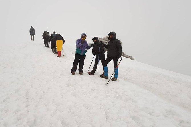 7-Day Kilimanjaro Climb–Lemosho R. Scenic Adventure to the summit - Day 7: Mweka Trail, certificates, and the return to town