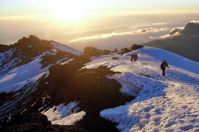 7-Day Kilimanjaro Climb–Lemosho R. Scenic Adventure to the summit - Day 2: Six and a half hours across the Shira moorland