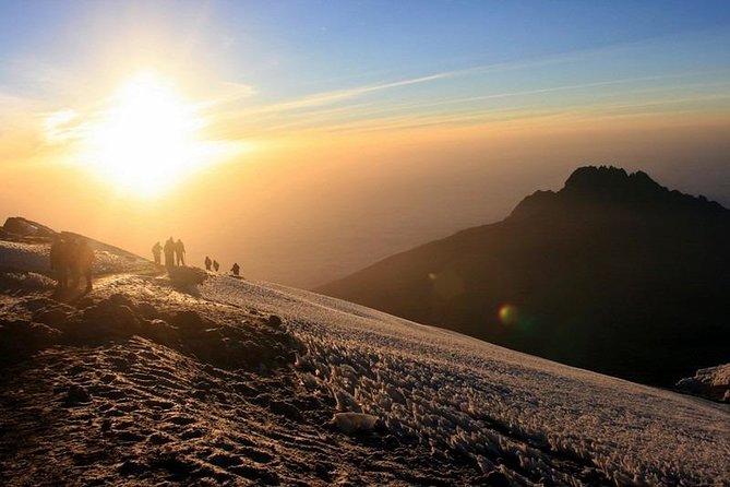 7-Day Kilimanjaro Climb Machame Route–The Best Path to Uhuru Peak - Day 2: Heath and moorland on the way to Shira