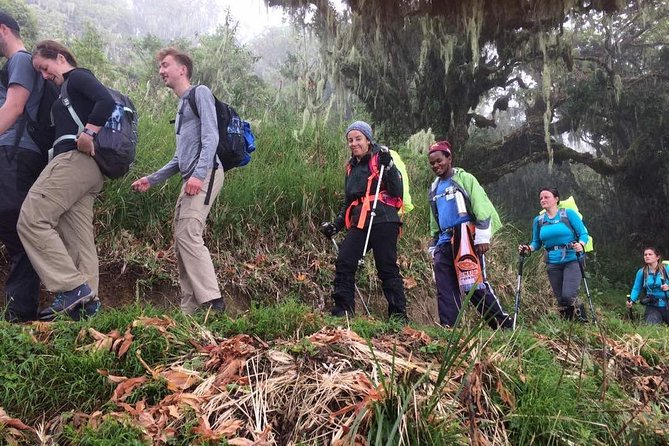 7-Day Kilimanjaro Climb Machame Route–The Best Path to Uhuru Peak - Day 4: Climbing the Barranco Wall to Karanga