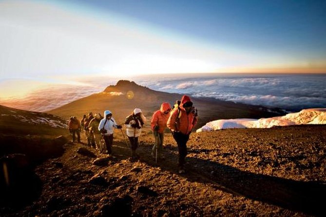 7-Day Kilimanjaro Climb Machame Route–The Best Path to Uhuru Peak - Day 6: Uhuru Peak and the long descent