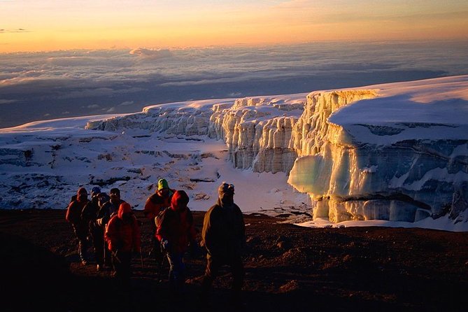 7-Day Kilimanjaro Climb Machame Route–The Best Path to Uhuru Peak - Day 7: Mweka Trail and the return to Moshi