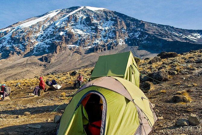 7 Day Kilimanjaro Climbing Via Lemosho Route - Day 3: Lava Tower and the Garden of the Senecios