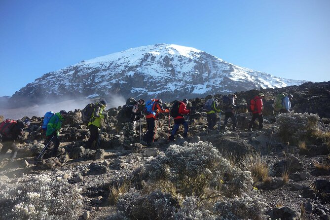 7-Day Kilimanjaro Climbing Via Machame Route - Mweka Gate, certificates, and the return to Moshi