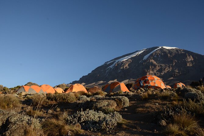 7-Day Kilimanjaro Hiking Tour via Machame Route - Key points to know before booking