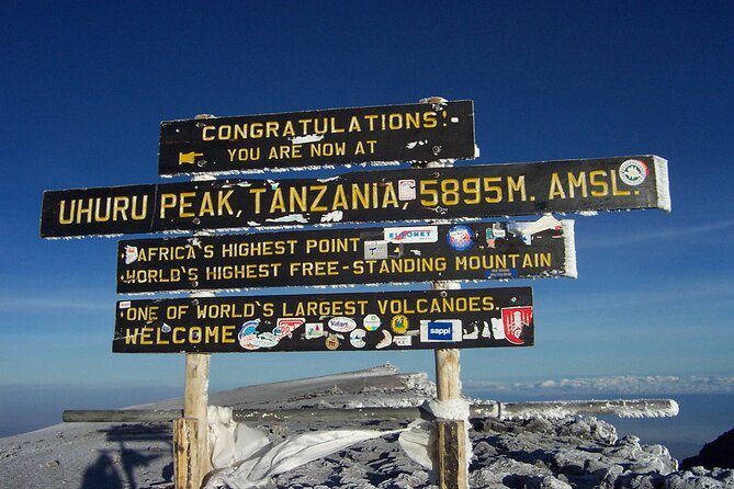 7-Day Kilimanjaro Hiking Tour via Machame Route - Day 1: Rainforest from Machame Gate to Machame Camp