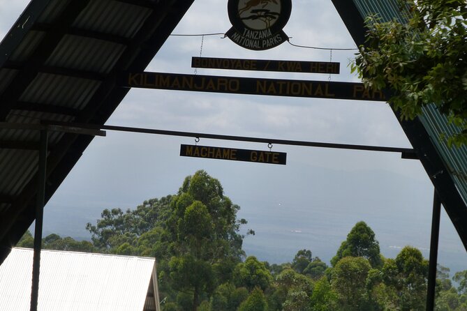 7 Day Kilimanjaro Machame climb - Day 2: Picnic Rock and the Shira Plateau