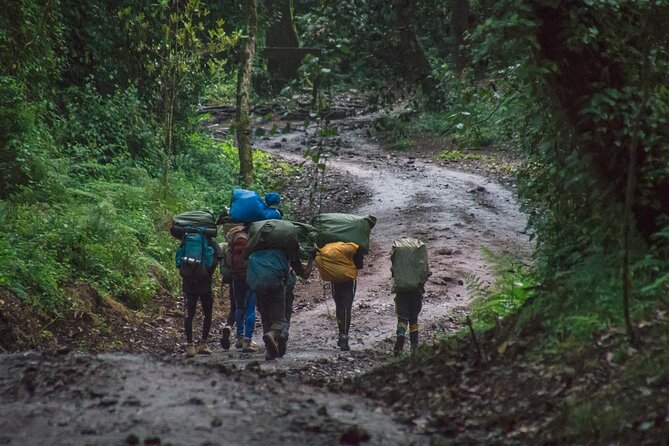 7 Day Kilimanjaro Machame climb - Day 5: Karanga to high camp