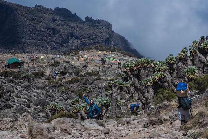 7 Day Kilimanjaro Machame climb - Day 7: Descending through rainforest to Mweka Gate
