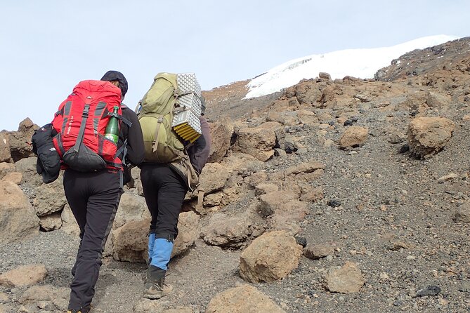 7-Day Kilimanjaro Trekking Tour via Machame Route - Day 3: Shira Plateau and one of the best campsites