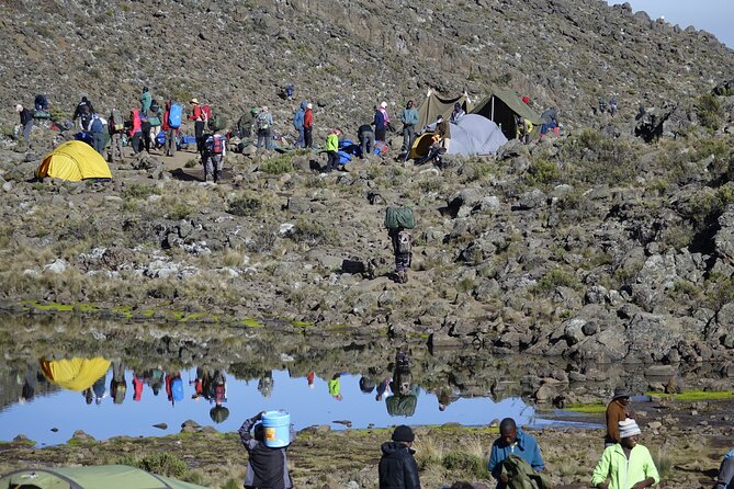 7-Day Kilimanjaro Trekking Tour via Machame Route - Day 4: Lava Tower, alpine desert, and Barranco Camp
