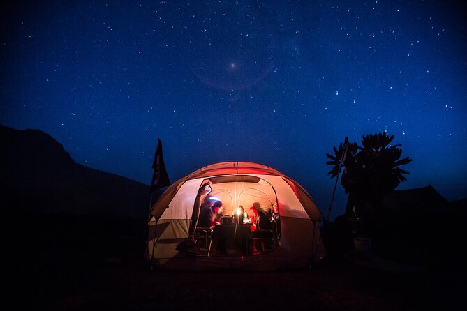7-Day Machame Kilimanjaro Summit Tour from Arusha - Day 1: From Machame Gate into the rainforest