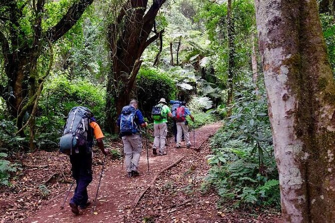 7-Day Machame Route Kilimajaro - Day 6: Stella Point, Uhuru Peak, and a long descent