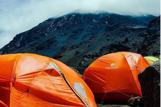 7-Day Machame Route Kilimajaro - Day 2: Moorland and the open Shira Plateau