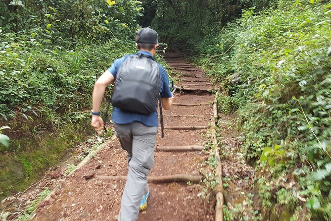7-Day Mountain Climbing in Machame Route - Day 4: Barranco Wall and Karanga Valley