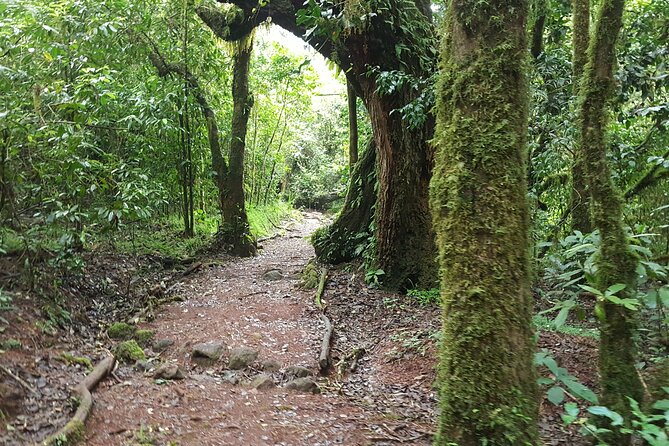 7-Day Mountain Climbing in Machame Route - Day 5: Barafu Camp and preparation for summit night