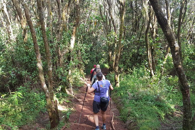 7-Day Mountain Climbing in Machame Route - Day 6: Midnight start, Stella Point, and Uhuru Peak