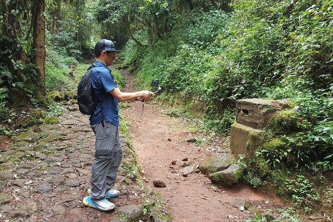 7-Day Mountain Climbing in Machame Route - Day 7: Forest descent, Mweka Gate, and a proper celebration