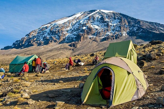 7-Day Mt. Kilimanjaro Hiking: Machame Route - Day 6: Stella Point, Uhuru Peak, and the long descent